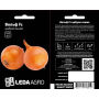 Лук Вольф F1 озимый, семена Leda Agro, 100 шт