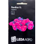 Томат черри Пекбол F1 высокий, Leda Agro, 5 семян