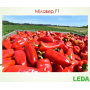 Перец капия Милавер F1, Leda Agro, 8 шт