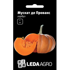 Мускат де Прованс тыква, 5 шт