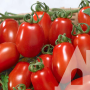 Томат Колибри F1 высокорослая сливка, семена Садиба, 10 шт