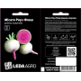 Кавунова редька Місато Роуз Флеш, насіння Leda Agro, 50 шт