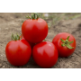 Томат Асвон F1 детерминантный, Leda Agro, 10 семян