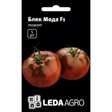Томат Блэк Мода F1 высокий среднеранний черный, семена Leda Agro, 5 шт
