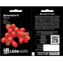 Томат Дольчесио F1 низкорослый черри, семена Leda Agro, 10 шт