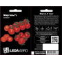 Томат черри Марголь F1, индетерминантній Leda Agro, 5 семян