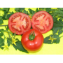 Томат Мейс F1 детерминантный, Leda Agro, 20 семян
