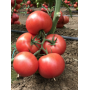 Томат Пинк Хит F1 высокорослий рожевий, насіння Leda Agro, 5 шт