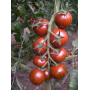 Томат Тайгер F1 высокорослый черный Коктейльный, семена Leda Agro, 5 шт