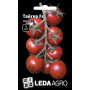 Томат Тайгер F1 высокорослый черный Коктейльный, семена Leda Agro, 5 шт