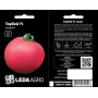 Томат Торбей F1 ранній високий, насіння Leda Agro, 10 шт