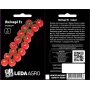 Томат Яничери F1 высокий ранний черри, семена Leda Agro, 5 шт