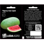 Арбуз Чарльстон Грей среднеранний овальний, семена Leda Agro, 10 г