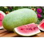 Арбуз Чарльстон Грей среднеранний овальний, семена Leda Agro, 10 г