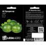 Арбуз АУ Продюсер, овальный ранний, семена Leda Agro, 1 г