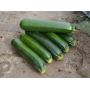 Кабачок Лейла F1, насіння Leda Agro, 5 шт